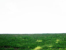 sommergarten
